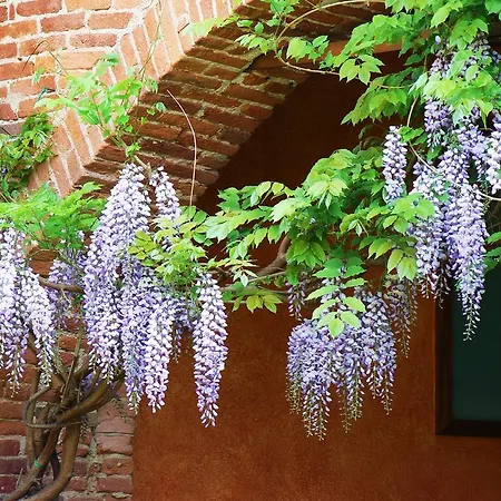 La Casa Arancione - & Charme Boves